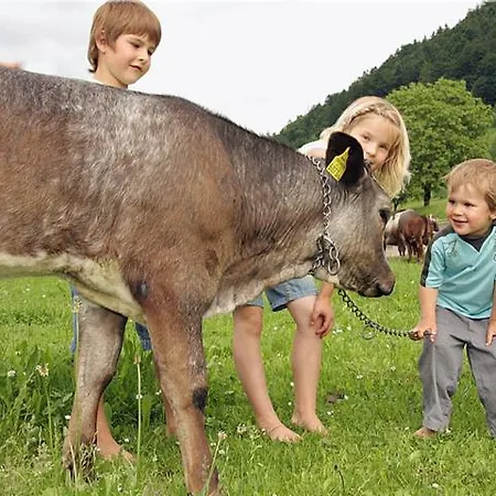 Familienbauernhof Metzler * Egg