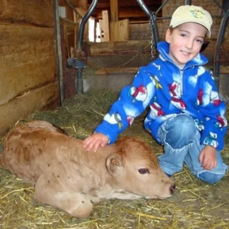 Vakantieboerderij Familienbauernhof Metzler